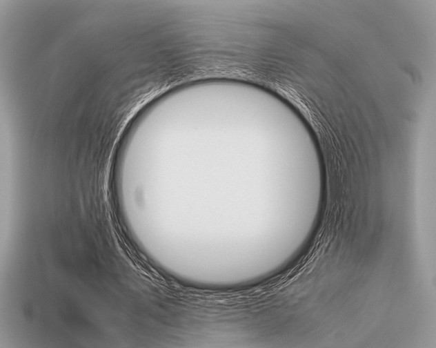 X0000113220579200909100924