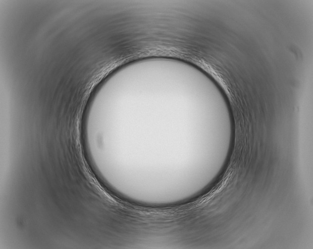 X0000113220581200909100924