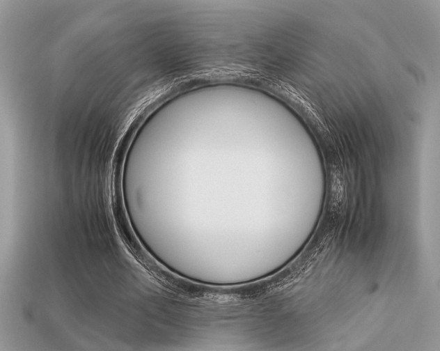 X0000113220582200909100924