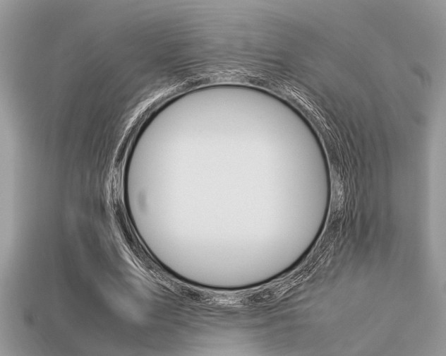 X0000113220583200909100924