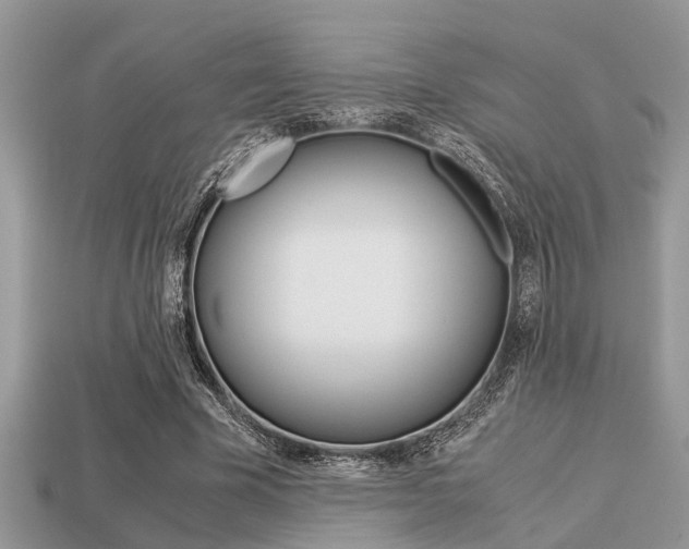 X0000113220585200909100924