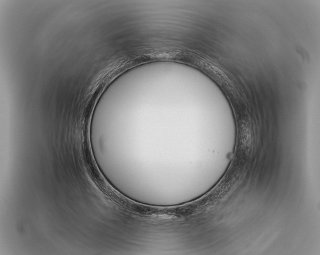 X0000113220586200909100924
