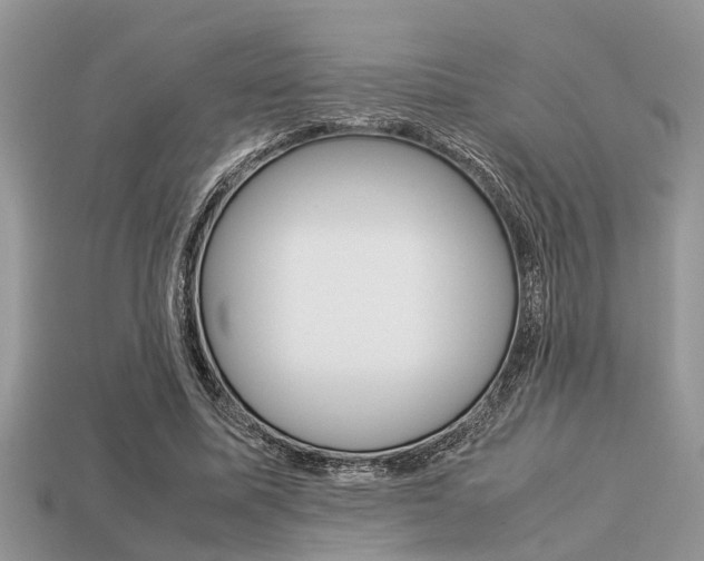 X0000113220587200909100924