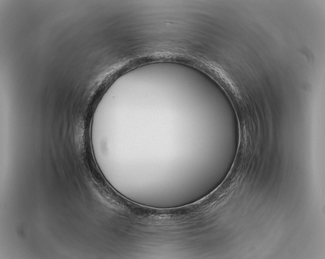 X0000113220588200909100924