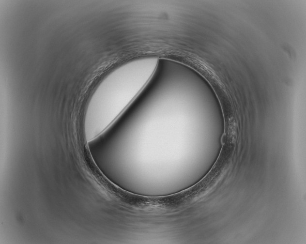 X0000113220589200909100924