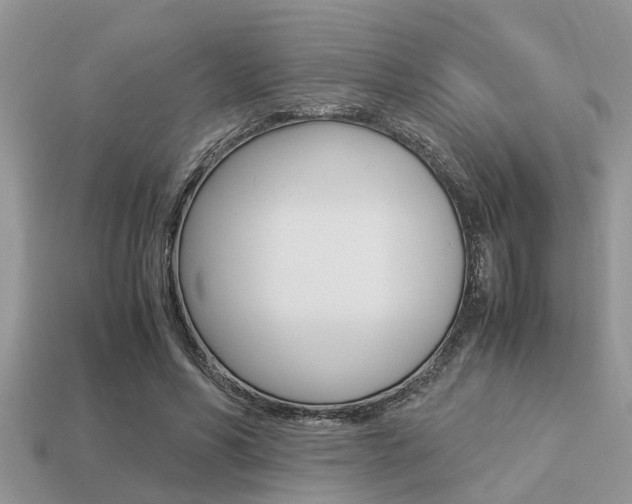 X0000113220590200909100924