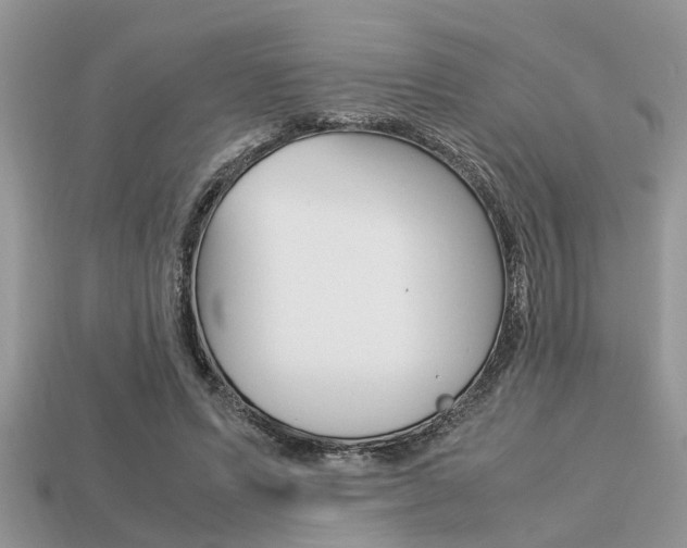 X0000113220591200909100924
