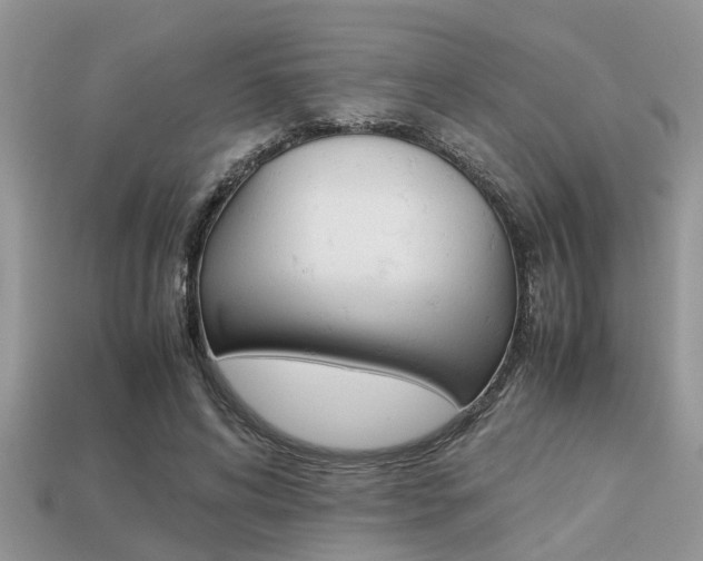 X0000113220592200909100924