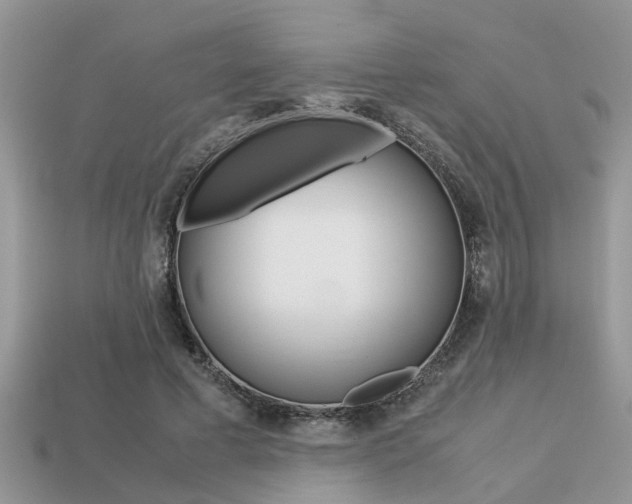 X0000113220593200909100924