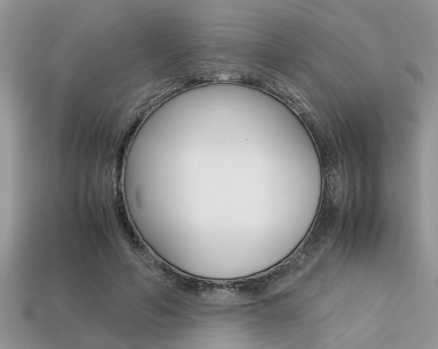X0000113220594200909100924