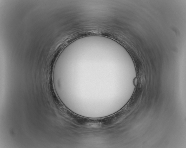 X0000113220595200909100924