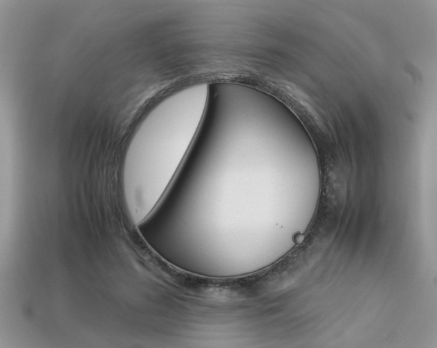 X0000113220596200909100924