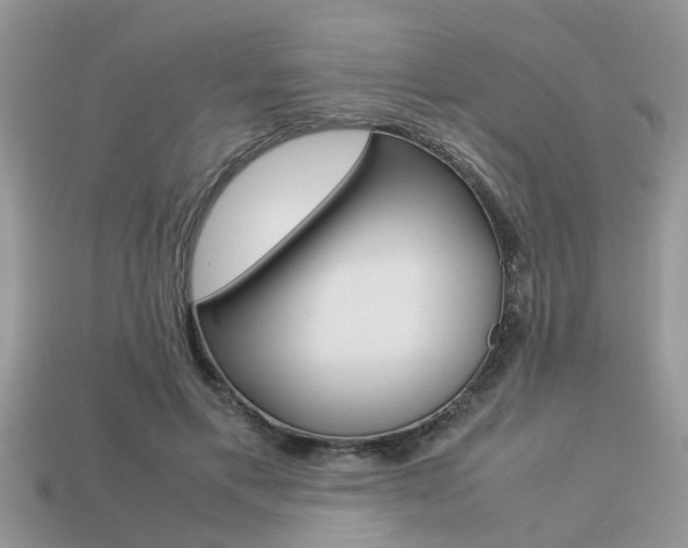 X0000113220597200909100924