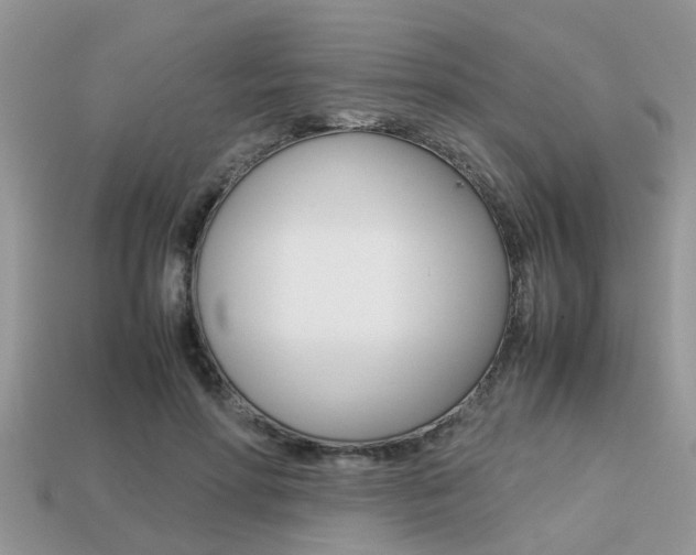 X0000113220598200909100924