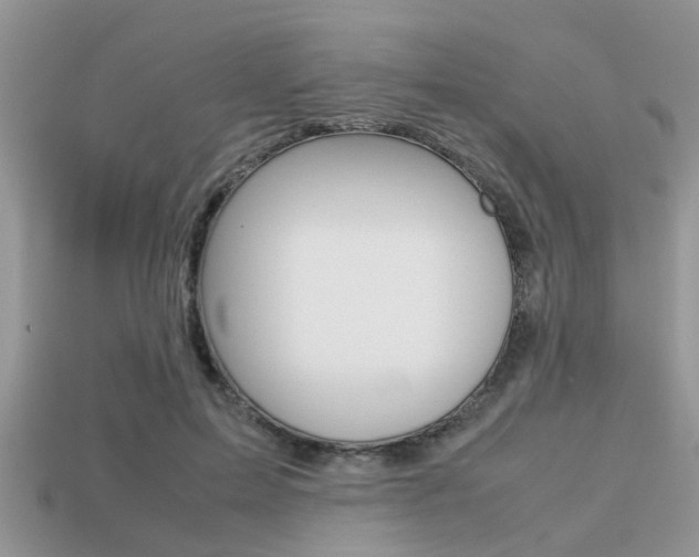 X0000113220599200909100924