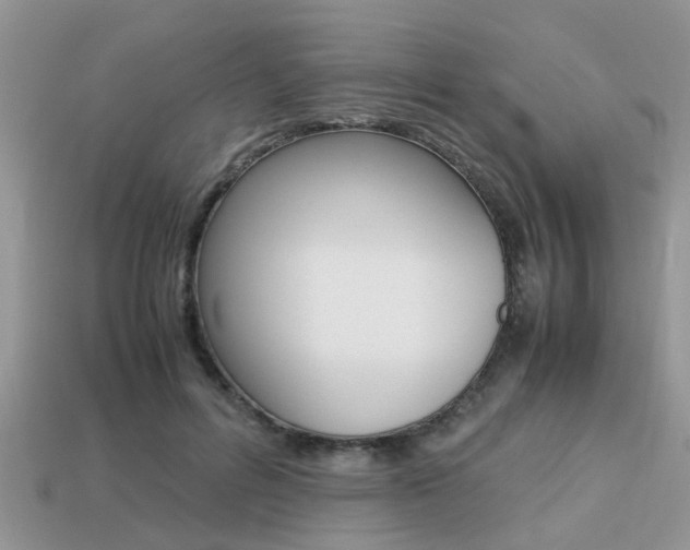 X0000113220600200909100924