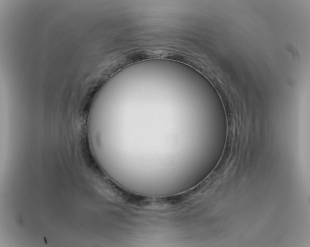 X0000113220601200909100924
