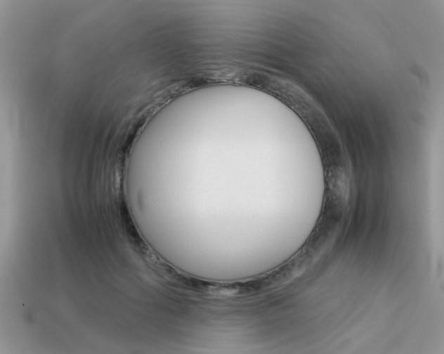 X0000113220602200909100924