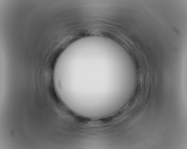 X0000113220603200909100924