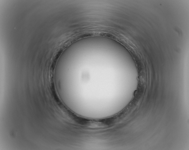 X0000113220605200909100924