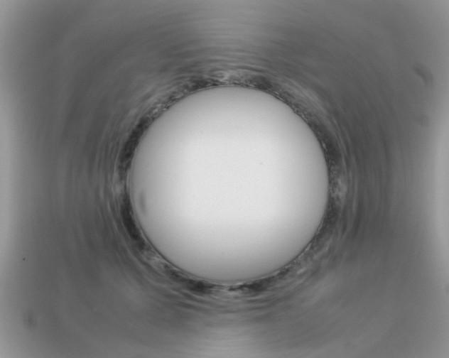 X0000113220607200909100924
