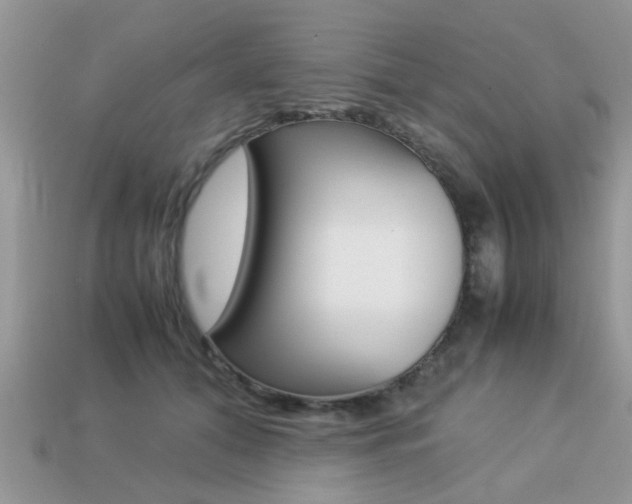 X0000113220608200909100924