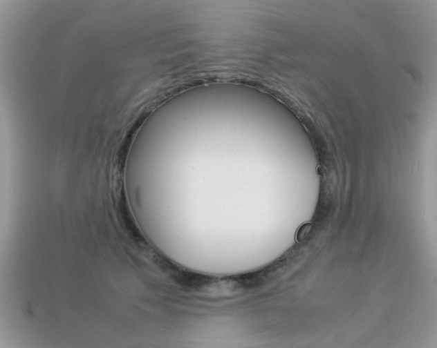 X0000113220609200909100924