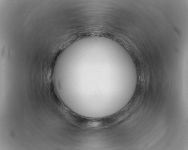 X0000113220610200909100924