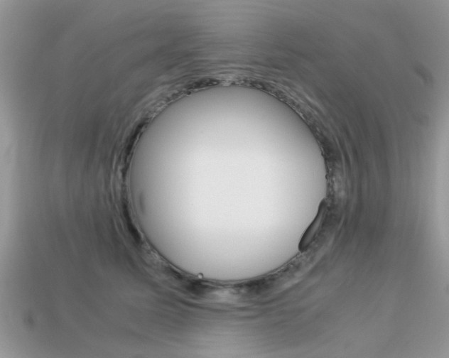 X0000113220611200909100924