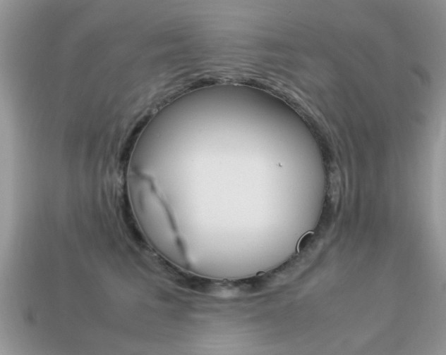X0000113220613200909100924