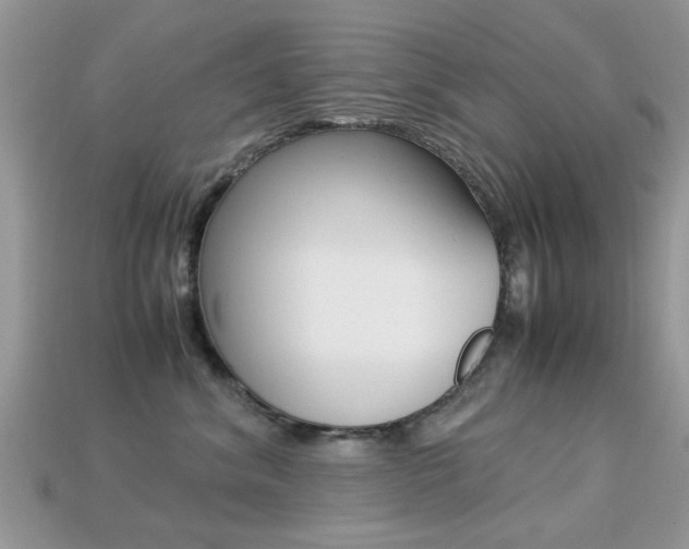 X0000113220620200909100924