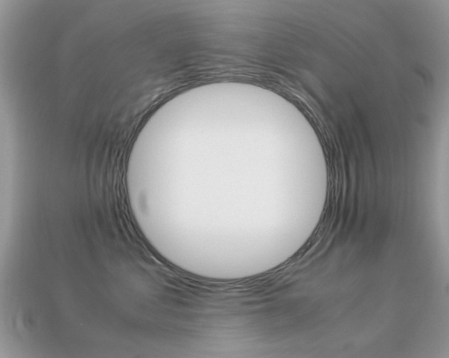 X0000113220621200909100924