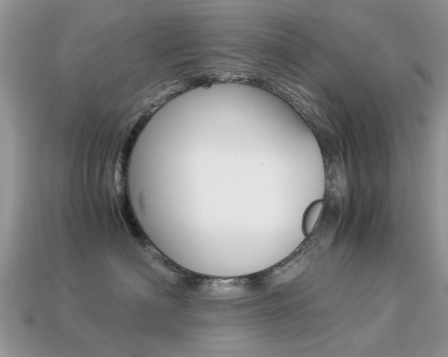 X0000113220622200909100924