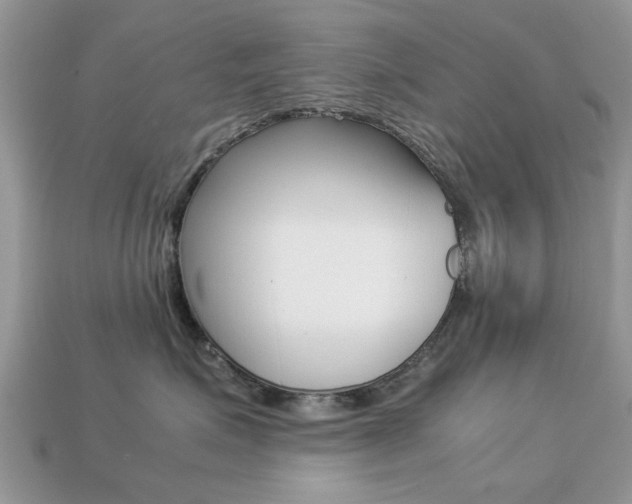 X0000113220623200909100924