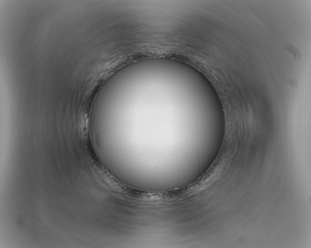X0000113220624200909100924