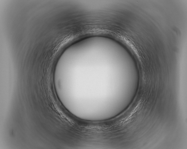 X0000113220625200909100923
