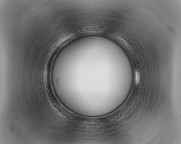 X0000113220627200909100923