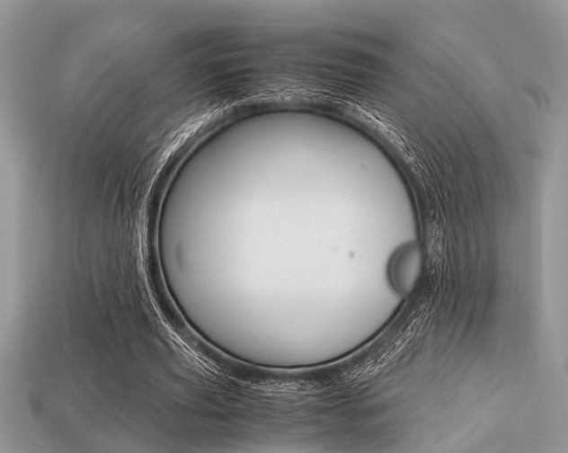 X0000113220629200909100923