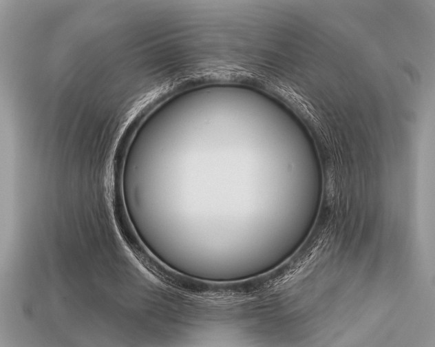 X0000113220630200909100923