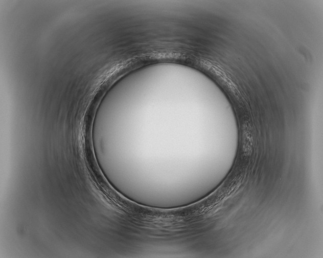 X0000113220631200909100923