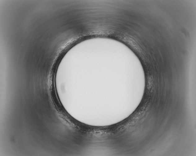 X0000113220632200909100923