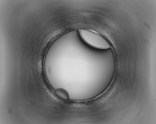 X0000113220633200909100923