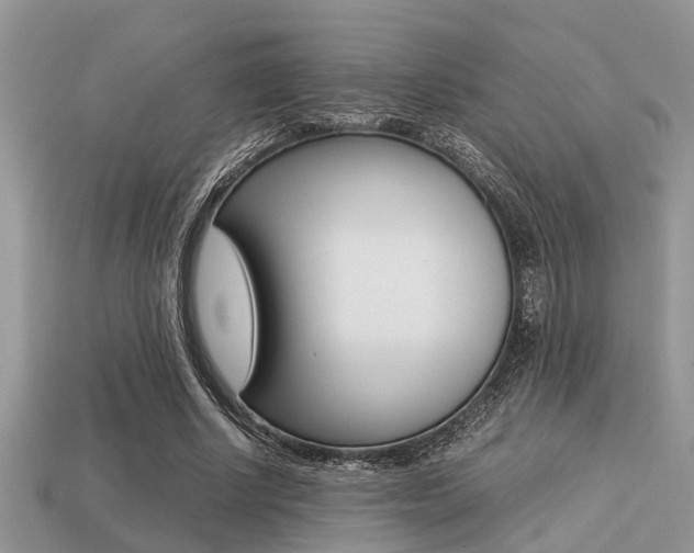 X0000113220634200909100923