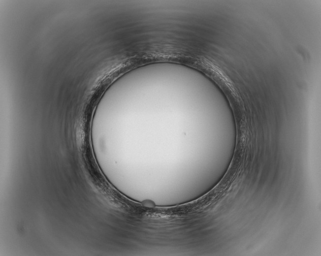 X0000113220635200909100923