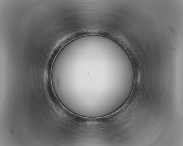 X0000113220636200909100923