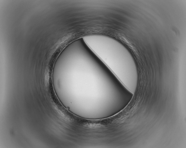 X0000113220637200909100923