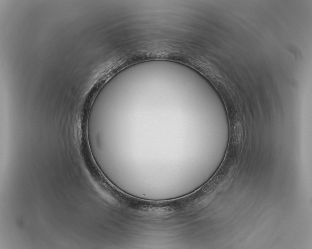 X0000113220638200909100923