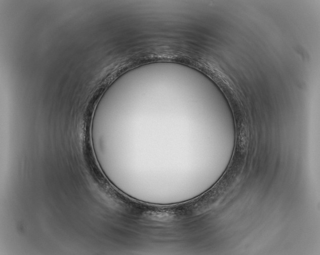 X0000113220639200909100923