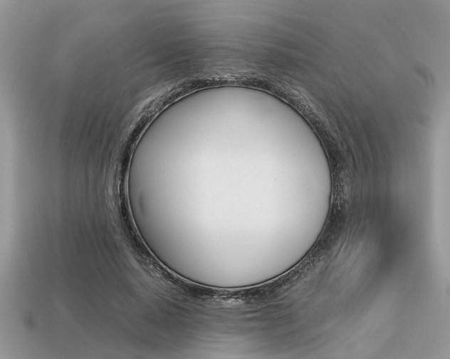 X0000113220640200909100923