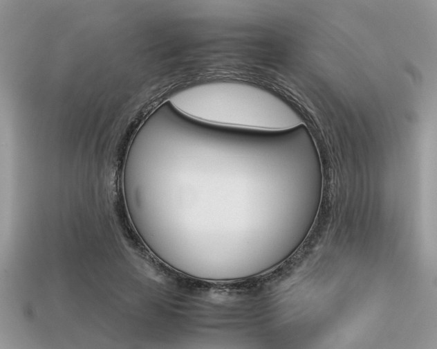 X0000113220641200909100923